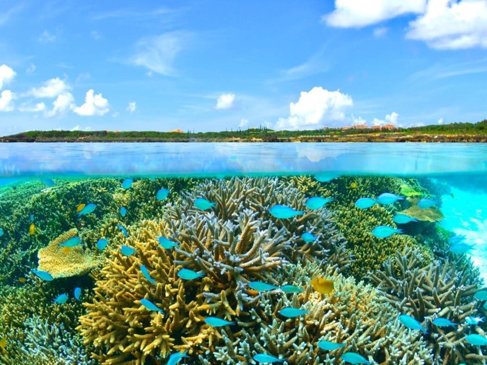 Allamanda Imgya Coral Village Miyakojima  Exteriér fotografie